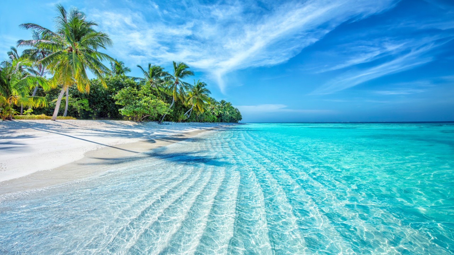 Potápění na Maledivách - podmořský ráj na lodi Zen 14.-21.11.2026