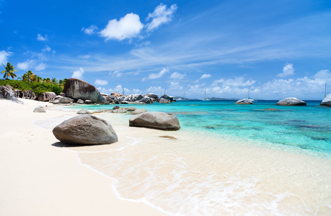 Tortola Dream Premium 2026